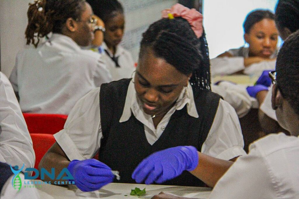 490362520_1005706891661753_1023149562201560924_n-1024x683 DNALC Nigeria in 2025: Raising the next generation STEM workforce through intensive hands-on research/laboratory experience