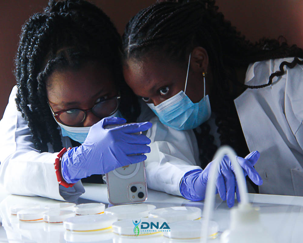 520596314_1102196505346124_7243096212866239494_n DNALC Nigeria in 2025: Raising the next generation STEM workforce through intensive hands-on research/laboratory experience